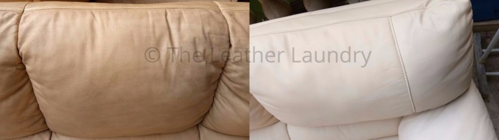 leather sofa dry cleaners 