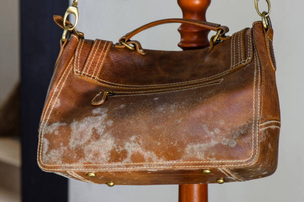 How to Clean a Leather Bag Infested by Fungus?