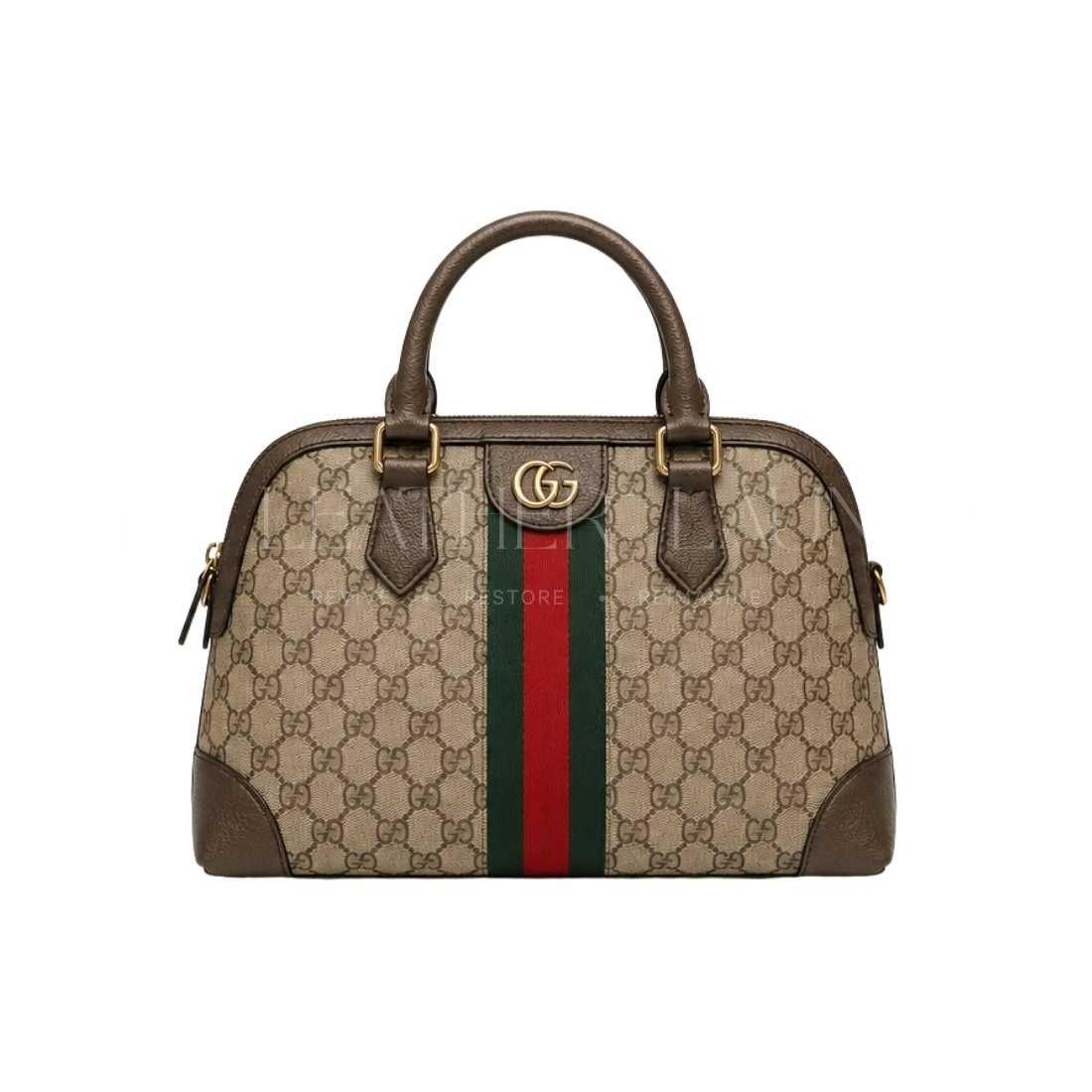 Before — Old Luxury Bag